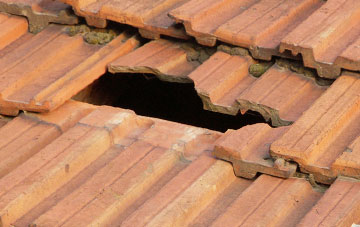 roof repair Onibury, Shropshire